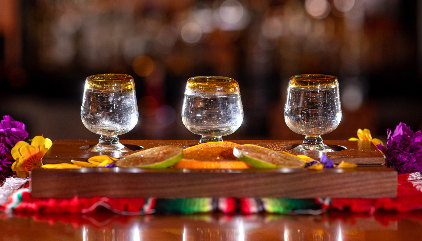 Agavales tequila blog 06 main images