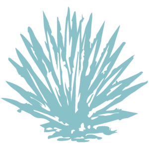 Blue Agave Bush Icon