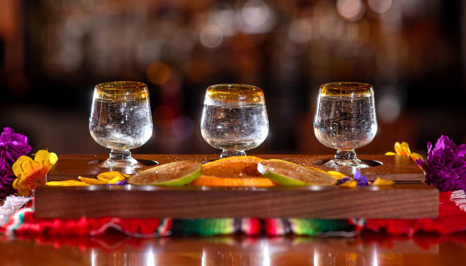 Agavales tequila blog 06 main images